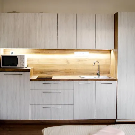 U Divokej Vcely 펜션 Ižipovce